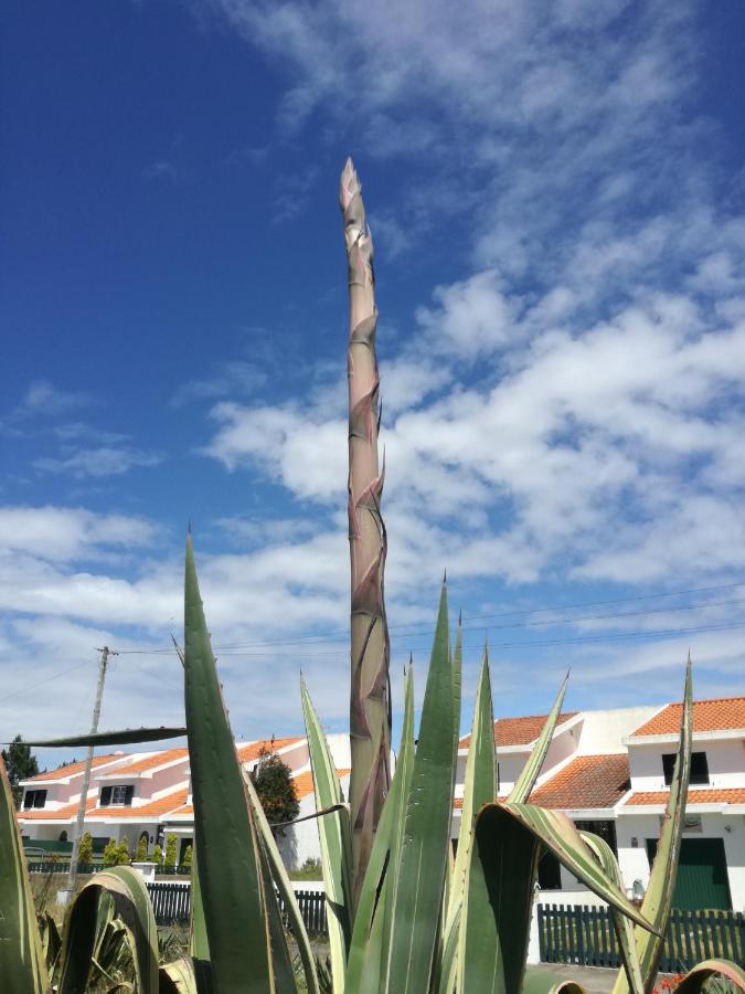 Casa Praia E Ria Torreira Εξωτερικό φωτογραφία